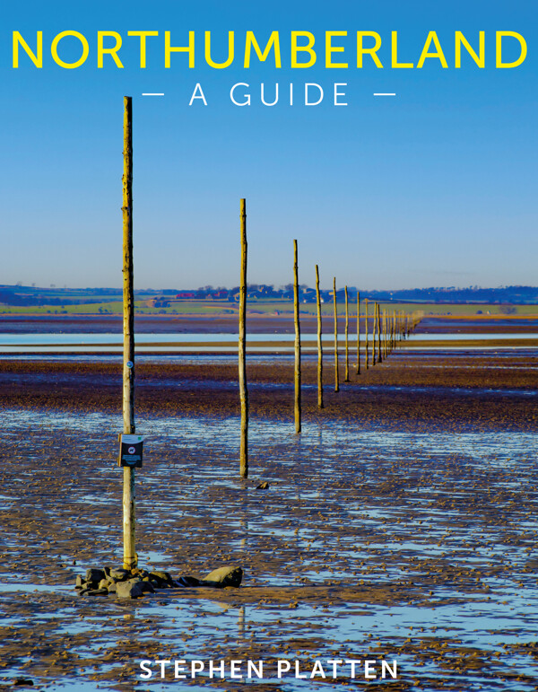 Northumberland:　Sacristy　A　Guide　Press